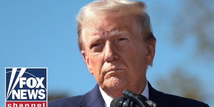 Trump tariffs leave European leaders stunned, Peter Navarro suggests Trump tariffs leave European leaders stunned, Peter Navarro suggests