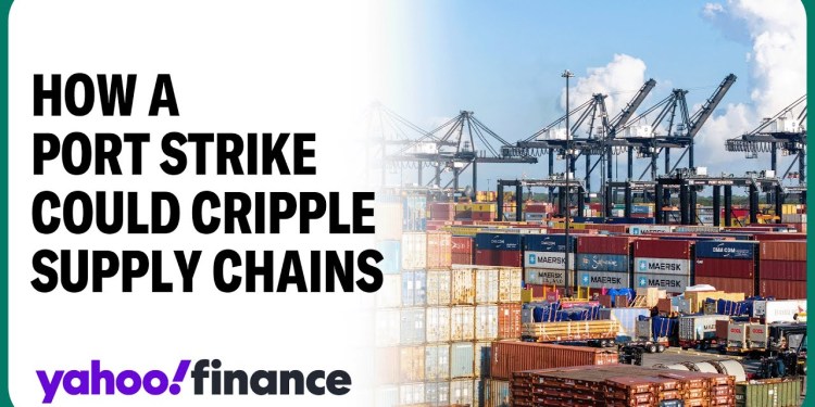 Flexport CEO details ‘cascading effects’ of port strike Flexport CEO details ‘cascading effects’ of port strike