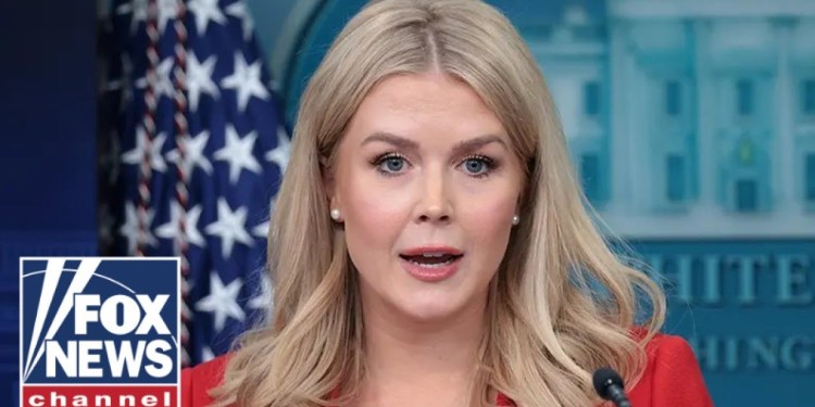 ‘UNACCEPTABLE’: Karoline Leavitt unloads over ABC journalist’s tweet ‘UNACCEPTABLE’: Karoline Leavitt unloads over ABC journalist’s tweet