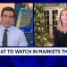 Hightower’s Stephanie Link on her top stock picks for 2025 Hightower’s Stephanie Link on her top stock picks for 2025