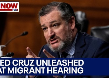 Ted Cruz ERUPTS at Mass Deportations of Migrants Ted Cruz ERUPTS at Mass Deportations of Migrants