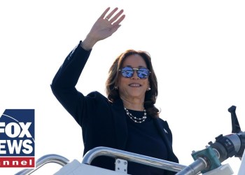 Kamala’s new economic idea mocked: ‘This has never worked!’ Kamala’s new economic idea mocked: ‘This has never worked!’