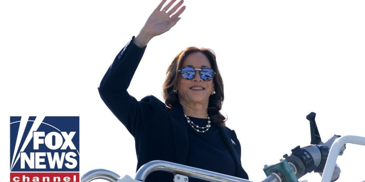 Kamala’s new economic idea mocked: ‘This has never worked!’ Kamala’s new economic idea mocked: ‘This has never worked!’