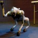 Unitree’s Robot Dog is Cast in Theater Production (Exclusive BTS Look) Unitree’s Robot Dog is Cast in Theater Production (Exclusive BTS Look)