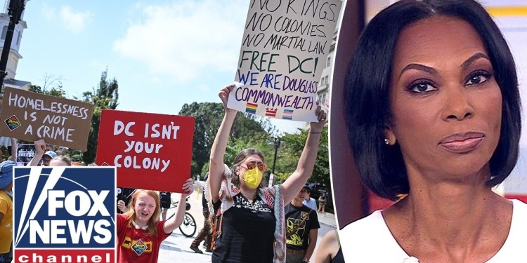 DC paid protester requests SURGED since last year, crowd company says DC paid protester requests SURGED since last year, crowd company says