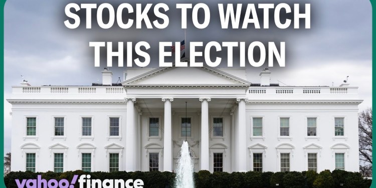 Sectors to watch ahead of the 2024 election Sectors to watch ahead of the 2024 election