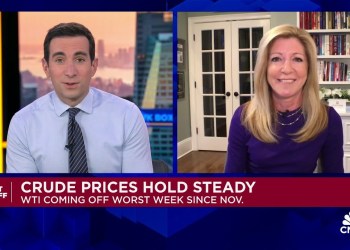 Hightower’s Stephanie Link on global tech sell-off: The pie is big enough for AI companies to thrive Hightower’s Stephanie Link on global tech sell-off: The pie is big enough for AI companies to thrive