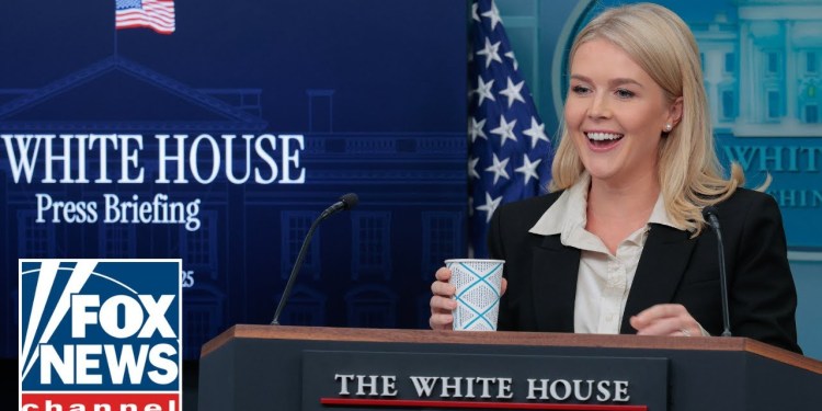 Karoline Leavitt answers questions about probe into Biden’s health Karoline Leavitt answers questions about probe into Biden’s health