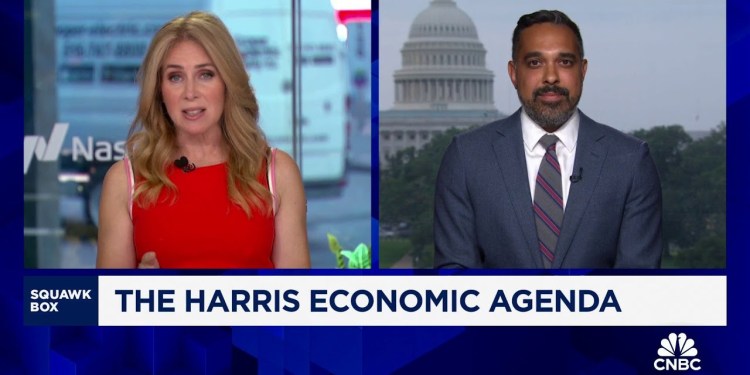 Harris’ tax on unrealized gains applies only to people with assets over 0M, says Bharat Ramamurti Harris’ tax on unrealized gains applies only to people with assets over 0M, says Bharat Ramamurti