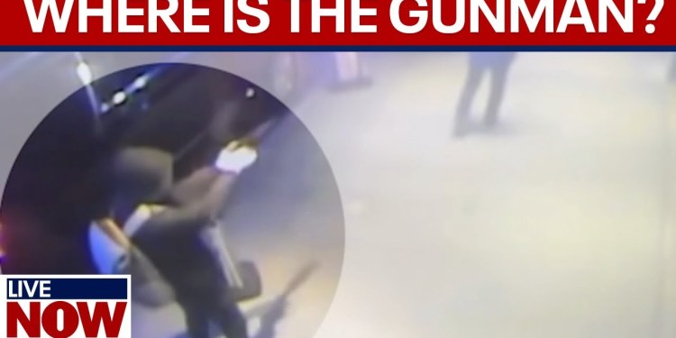 FBI raises reward for UnitedHealthcare CEO gunman | LiveNOW from FOX FBI raises reward for UnitedHealthcare CEO gunman | LiveNOW from FOX