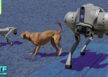 24 Hours with Unitree’s Go2 Pro Robot Dog 24 Hours with Unitree’s Go2 Pro Robot Dog