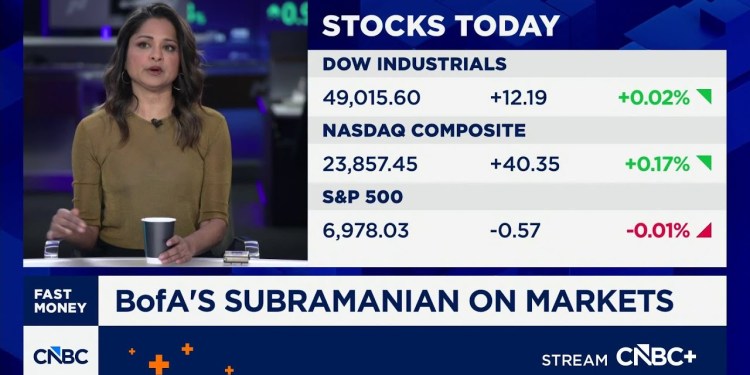 BofA’s Savita Subramanian says she sees too much euphoria in a popular market group BofA’s Savita Subramanian says she sees too much euphoria in a popular market group