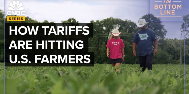 The True Cost Of Trump’s Tariffs: American Farmers Speak Out The True Cost Of Trump’s Tariffs: American Farmers Speak Out