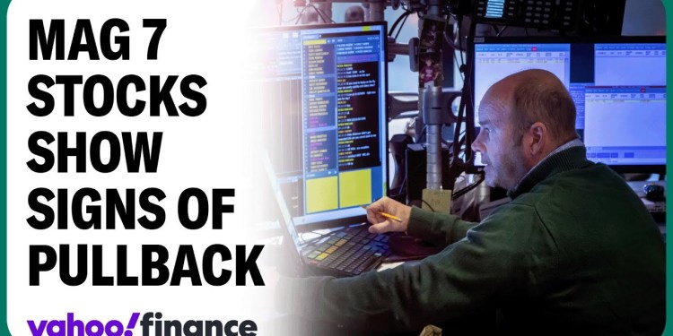 Mag 7 ‘not critical’ for market success in 2025: Strategist Mag 7 ‘not critical’ for market success in 2025: Strategist