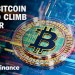 Bitcoin has plunged, but this analyst thinks it could hit ,000,000 Bitcoin has plunged, but this analyst thinks it could hit ,000,000