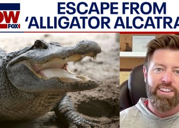 Forrest Galante: Escaping ‘Alligator Alcatraz’ harder than Alcatraz island Forrest Galante: Escaping ‘Alligator Alcatraz’ harder than Alcatraz island