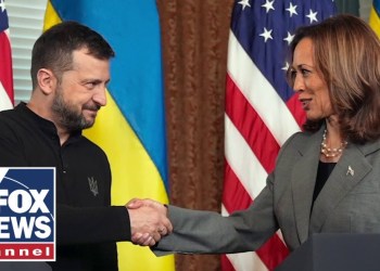 Kamala Harris faces new criticism after Zelenskyy event Kamala Harris faces new criticism after Zelenskyy event