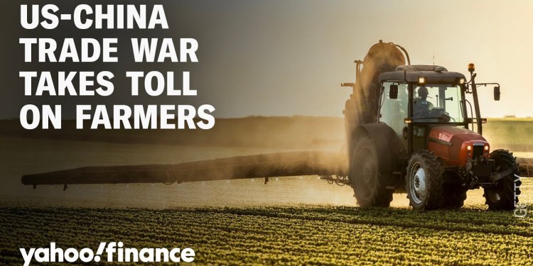 Farmers explain how the US-China trade tensions destroy profits, talk possible bailout Farmers explain how the US-China trade tensions destroy profits, talk possible bailout