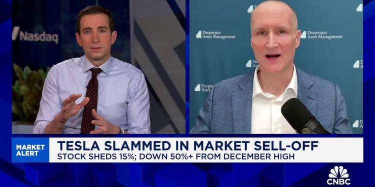 Tesla’s fundamentals are deteriorating, says Deepwater’s Gene Munster Tesla’s fundamentals are deteriorating, says Deepwater’s Gene Munster