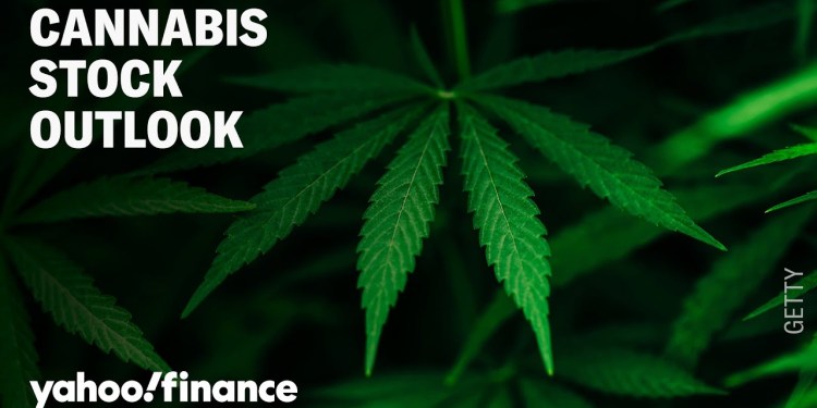 How to play cannabis stocks now: An investor’s playbook How to play cannabis stocks now: An investor’s playbook