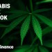 How to play cannabis stocks now: An investor’s playbook How to play cannabis stocks now: An investor’s playbook