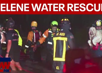 WATCH: Hurricane Helene water rescue, baby and dogs saved WATCH: Hurricane Helene water rescue, baby and dogs saved