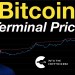 Bitcoin: Terminal Price Bitcoin: Terminal Price
