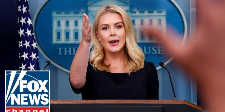 Karoline Leavitt holds briefing amid tariff, deportation fights Karoline Leavitt holds briefing amid tariff, deportation fights