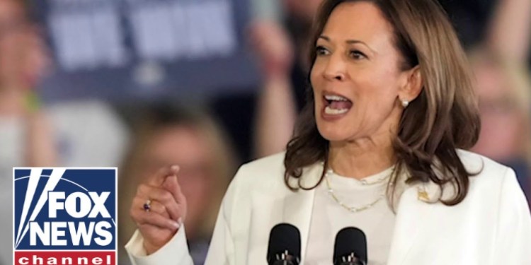 CNN pollster warns Kamala cannot ‘take this for granted’ CNN pollster warns Kamala cannot ‘take this for granted’