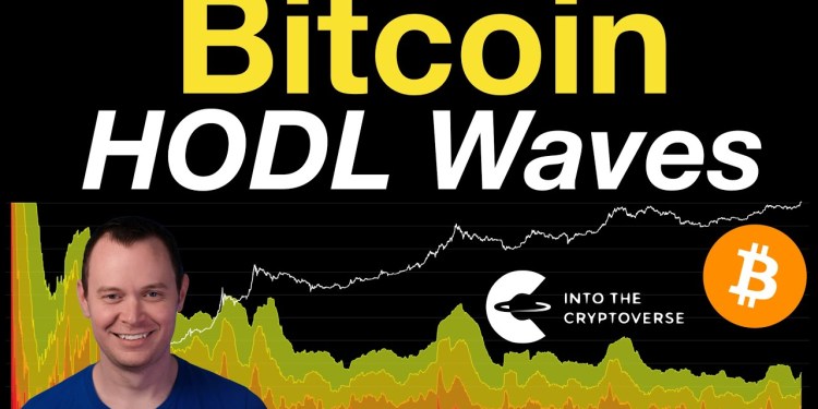 Bitcoin HODL Waves Bitcoin HODL Waves