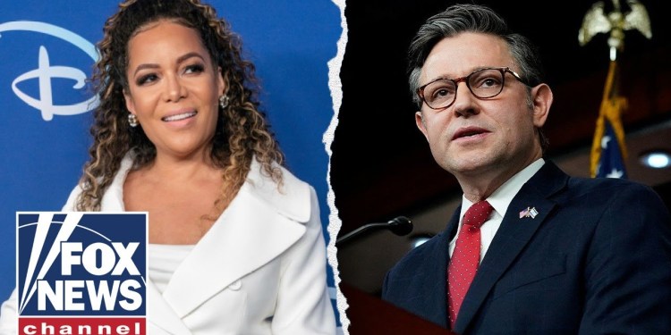 ‘ABSOLUTELY ABSURD’: Speaker Johnson fires back at Sunny Hostin for birth rate comments ‘ABSOLUTELY ABSURD’: Speaker Johnson fires back at Sunny Hostin for birth rate comments