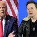 Elon Musk Pitches White House Role in Glitchy Donald Trump Interview Elon Musk Pitches White House Role in Glitchy Donald Trump Interview