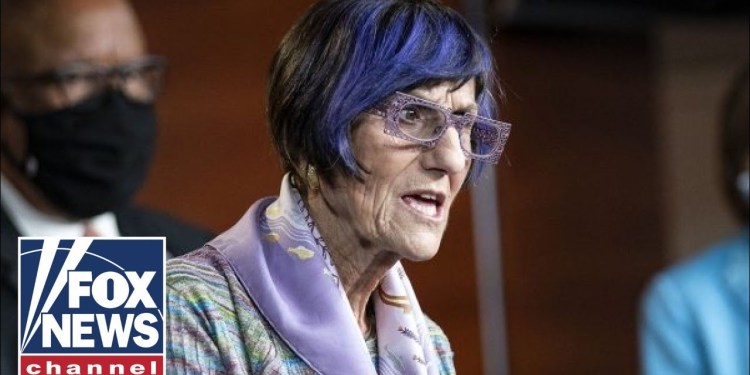 Democrat UNLEASHES in profane rant as food benefits expire Democrat UNLEASHES in profane rant as food benefits expire