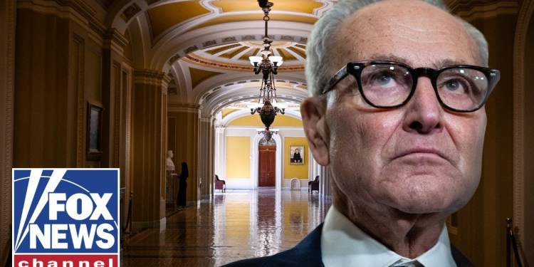 JUST IN: Schumer privately fought to extend government shutdown, report says JUST IN: Schumer privately fought to extend government shutdown, report says