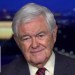 Newt Gingrich: Dems don’t understand this Newt Gingrich: Dems don’t understand this