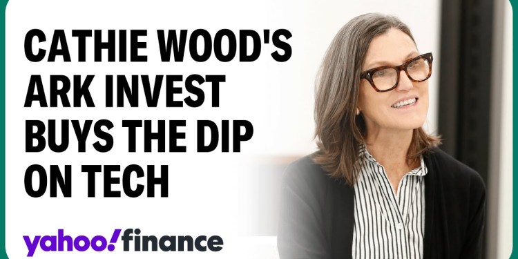 Cathie Wood’s Ark Invest is buying the dip on tech stocks Cathie Wood’s Ark Invest is buying the dip on tech stocks