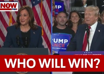 Trump vs Harris: Historian Allan Lichtman predicted 9 of 10 elections with “keys” Trump vs Harris: Historian Allan Lichtman predicted 9 of 10 elections with “keys”