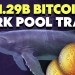 The real story behind BlackRock’s huge .29B bitcoin ETF sale The real story behind BlackRock’s huge .29B bitcoin ETF sale