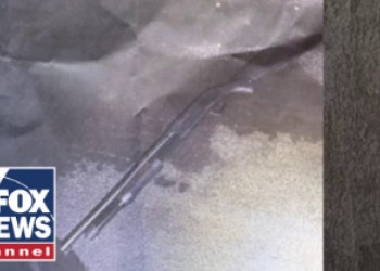 DETAILS: Mar-a-Lago gunman raised shotgun before he was shot, killed by officials DETAILS: Mar-a-Lago gunman raised shotgun before he was shot, killed by officials