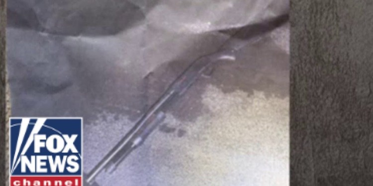 DETAILS: Mar-a-Lago gunman raised shotgun before he was shot, killed by officials DETAILS: Mar-a-Lago gunman raised shotgun before he was shot, killed by officials