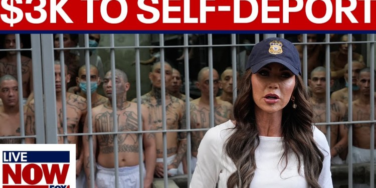 DHS: K for undocumented migrants to self-deport DHS: K for undocumented migrants to self-deport