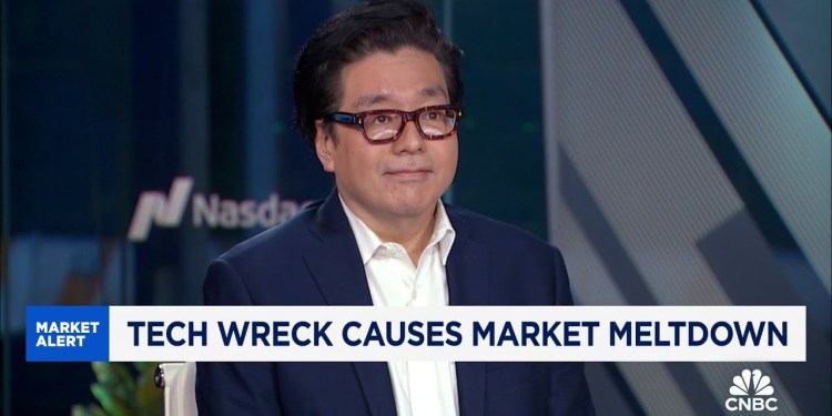 Small caps could rise more than 15% in August, says Fundstrat’s Tom Lee Small caps could rise more than 15% in August, says Fundstrat’s Tom Lee