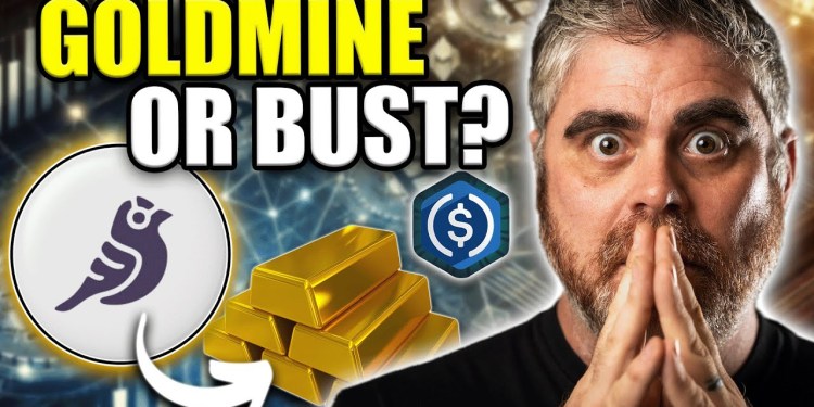 How $GFI Is Bringing Credit To DeFi (Where Crypto Meets TradFi) How $GFI Is Bringing Credit To DeFi (Where Crypto Meets TradFi)