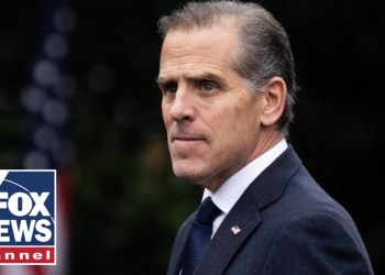 Hunter Biden makes ‘UNBELIEVABLE’ admission: ‘Voice of sanity’ Hunter Biden makes ‘UNBELIEVABLE’ admission: ‘Voice of sanity’