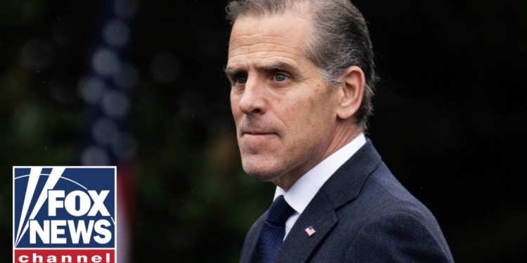 Hunter Biden makes ‘UNBELIEVABLE’ admission: ‘Voice of sanity’ Hunter Biden makes ‘UNBELIEVABLE’ admission: ‘Voice of sanity’