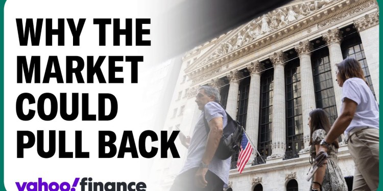 Strategist warns of ‘larger pullback’ amid soft landing hopes Strategist warns of ‘larger pullback’ amid soft landing hopes