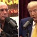 Trump on Rogan: If I were a Democrat, I would get a lot of positive press Trump on Rogan: If I were a Democrat, I would get a lot of positive press