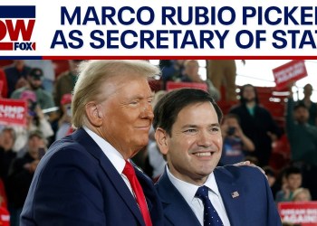 Trump cabinet: Marco Rubio expected to be named as Secretary of State | LiveNOW from FOX Trump cabinet: Marco Rubio expected to be named as Secretary of State | LiveNOW from FOX