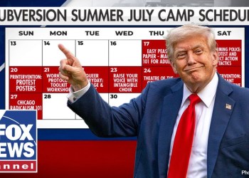 Taxpayer money funded an anti-Trump summer camp? Taxpayer money funded an anti-Trump summer camp?