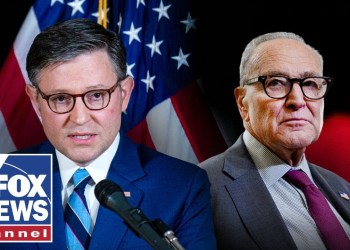 WARNING for Schumer: Republicans made this mistake and gained NOTHING, McCarthy says WARNING for Schumer: Republicans made this mistake and gained NOTHING, McCarthy says